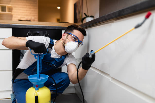 Best Local Pest Control Services  in Hanna City, IL