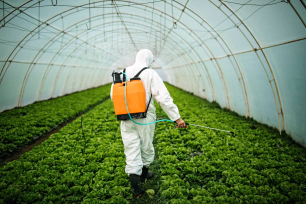 Best Pest Control Near Me  in Hanna City, IL