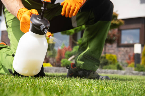 Best Best Pest Control Companies  in Hanna City, IL
