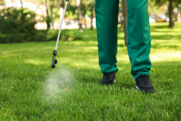Best Pest Removal Services  in Hanna City, IL