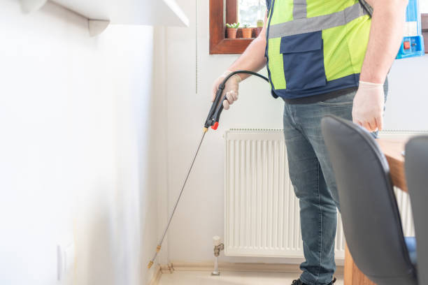 Wasp Removal Services in Hanna City, IL