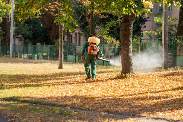 Best Pest Removal Services  in Hanna City, IL