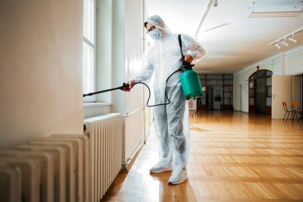 Best Pest Inspection Near Me  in Hanna City, IL